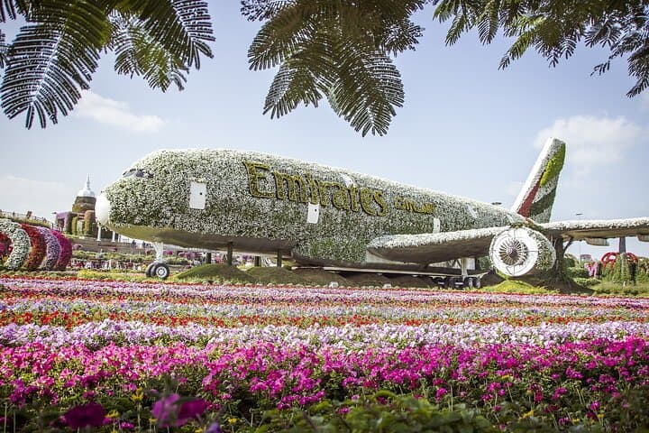 Dubai Frame and Miracle Garden Half-Day Tour with Private Transfer photo 2