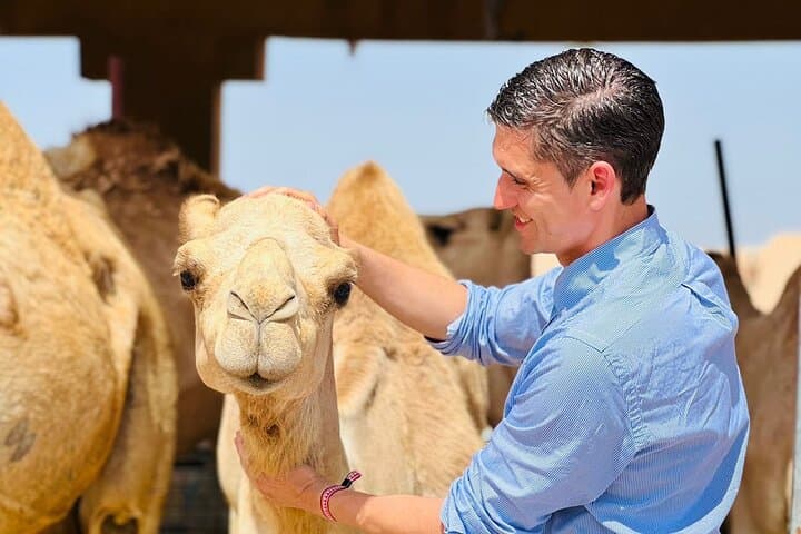 Al Ain Full-Day Cultural Tour: Jebel Hafeet, Oasis & Camel Market photo 1