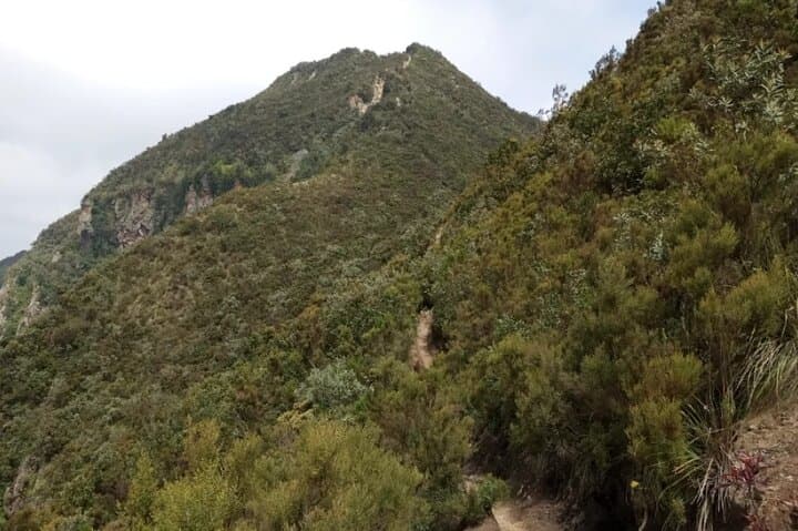 Mount Longonot Full-Day Guided Crater Rim Hike from Nairobi photo 5