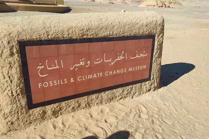 Explore El Fayoum Oasis: Wadi Hitan, Waterfalls & Medinet Madi Day Tour from Cairo photo 3