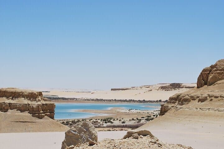 Explore El Fayoum Oasis: Wadi Hitan, Waterfalls & Medinet Madi Day Tour from Cairo photo 5