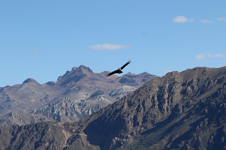 Private Full-Day Colca Canyon Tour from Arequipa with Breakfast & Cruz del Condor photo 3