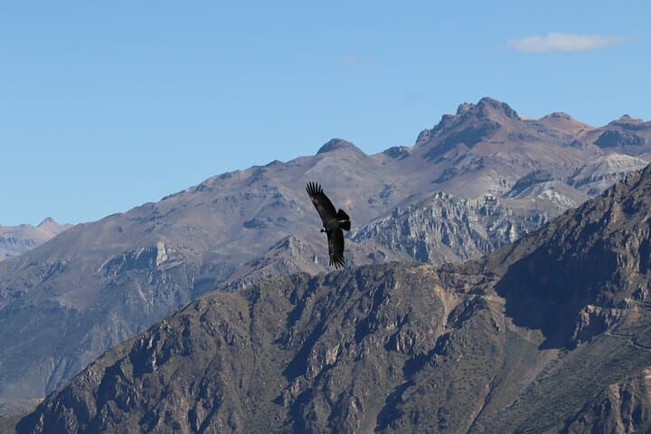 Private Full-Day Colca Canyon Tour from Arequipa with Breakfast & Cruz del Condor photo 4