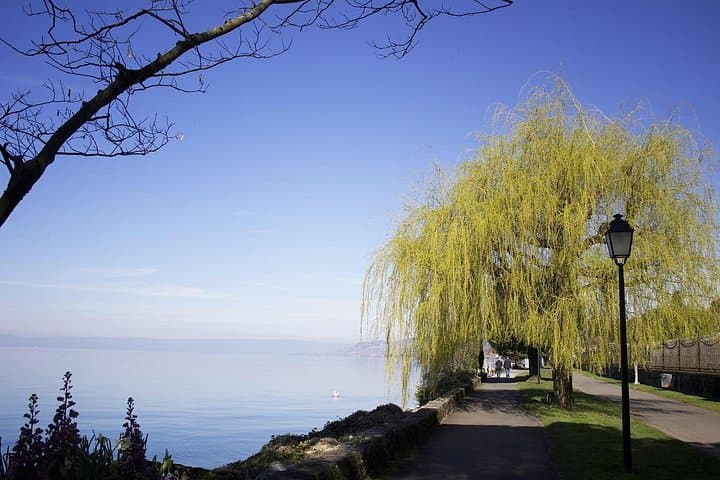 Montreux Private Walking Tour: Lake Geneva Promenade & Jazz Heritage photo 2