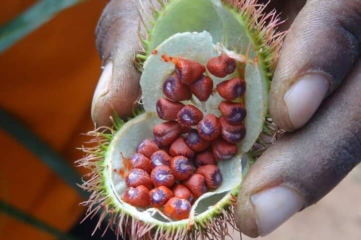 Zanzibar Spice Tour, Stone Town & Prison Island Day Trip photo 3