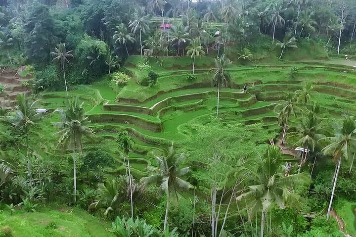 Full-Day Bali River Tubing, Tegalalang Rice Terraces & Ubud Cultural Stops photo 2