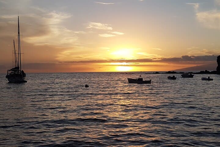 Two-Hour Whale & Dolphin Cruise from Puerto Colón (Costa Adeje) photo 4