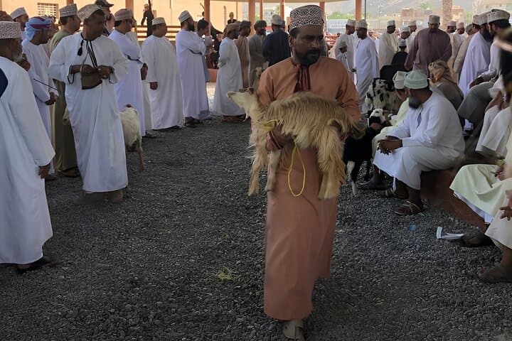 Day trips from Muscat: Nizwa, Jebel Akhdar & Oman’s historical gems photo 4