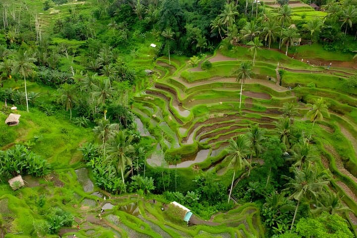Telaga Waja Rafting and Kintamani Volcano Day Tour from Ubud photo 3
