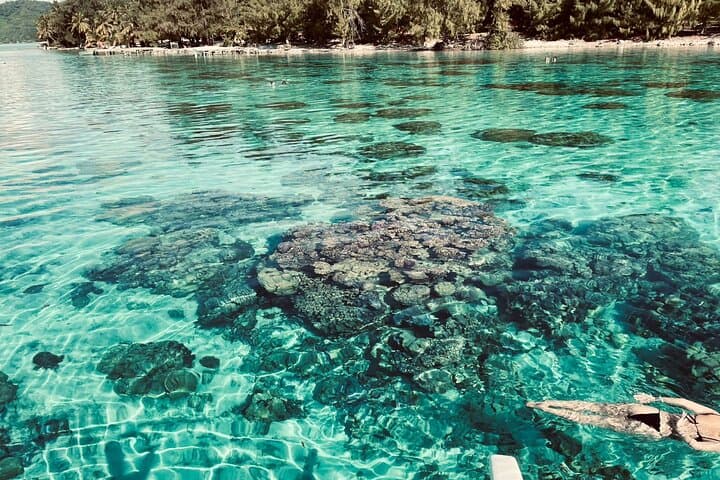 Private Full-Day Lagoon Safari and Motu Lunch in Bora Bora photo 5
