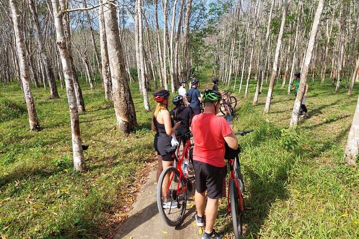 Hidden Trails of Northern Phuket: Half-Day Biking Adventure photo 5