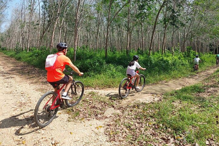 Hidden Trails of Northern Phuket: Half-Day Biking Adventure photo 4