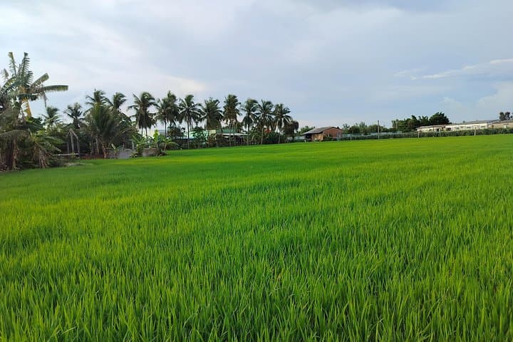 Mekong Delta Homestay: 2-Day Family Tiny Garden — Kayak, Cycle & Cooking from Ho Chi Minh City photo 3