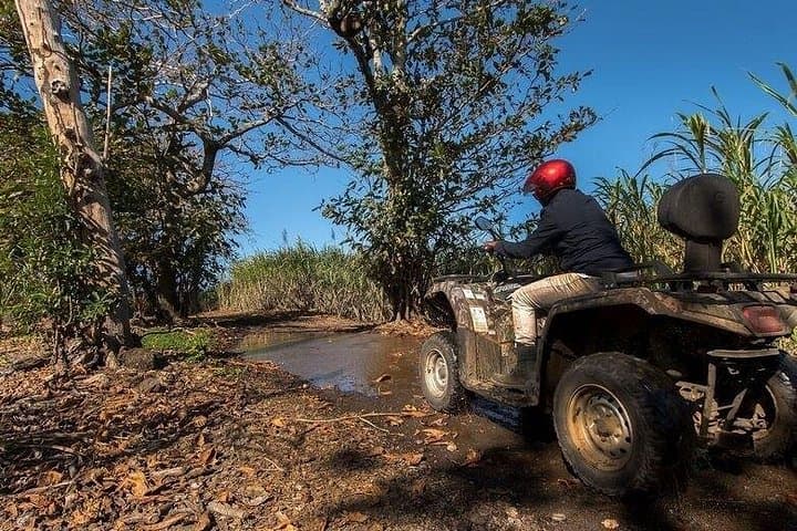 North Mauritius Full-Day Adventure: Quad Biking, Port Louis & Local Lunch photo 3