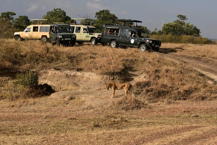 3-Day Maasai Mara Guided Safari: Wildlife, Culture & Great Rift Valley photo 3