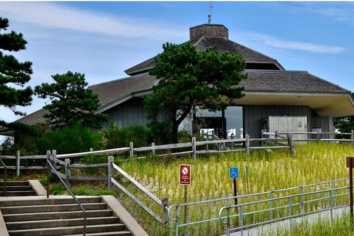 Cape Cod National Seashore Tour and Beech Forest Hike from Provincetown photo 4