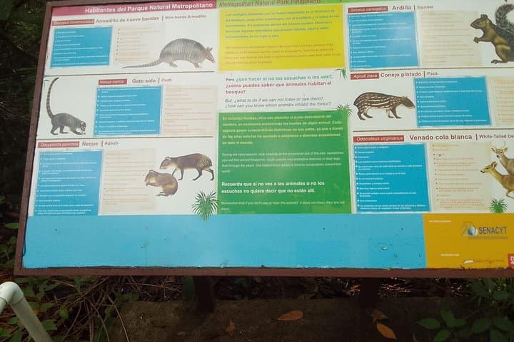 Metropolitan Natural Park Walking Tour: Panama City Wildlife & Canal Views photo 2