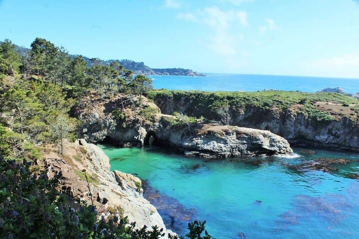 Point Lobos Private Ocean Walk: Coastal Wildlife & Hidden Coves