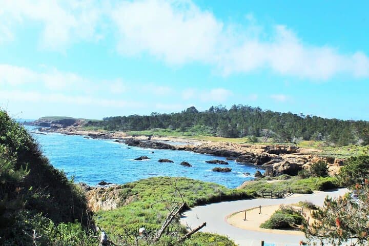 Point Lobos Private Ocean Walk: Coastal Wildlife & Hidden Coves photo 2