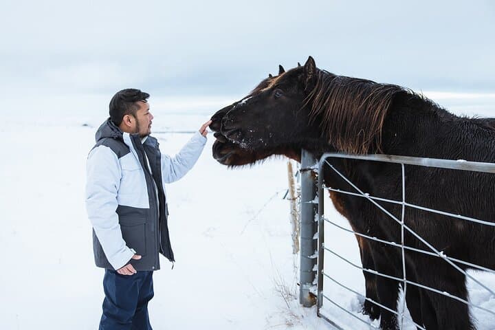 Golden Circle Private Tour with Pro Photo Package — Thingvellir, Geysir, Gullfoss & Kerid photo 2