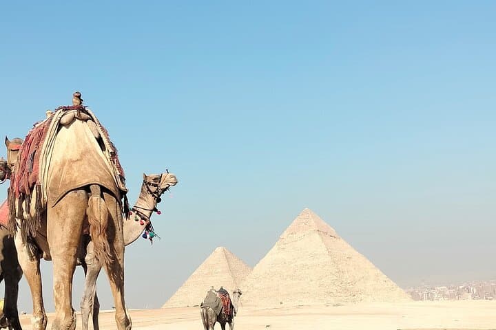 Private Half-Day Giza Pyramids, Sphinx & Camel Ride Tour photo 6