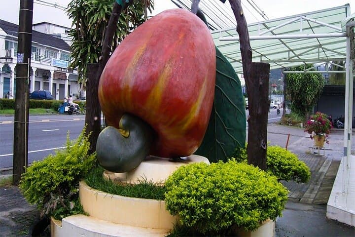 Phuket Old Town & Viewpoints Half-Day Tour: Karon, Khao Rang & Rang Hill photo 4