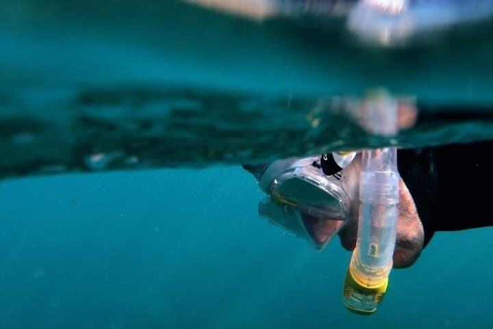 Afternoon Snorkeling by Boat in Gran Canaria: 2-Hour Guided Reef Experience