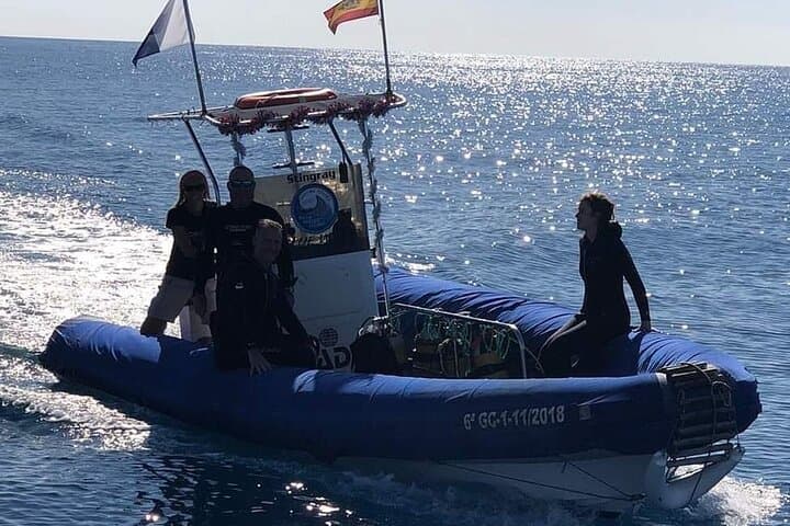 Afternoon Snorkeling by Boat in Gran Canaria: 2-Hour Guided Reef Experience photo 3