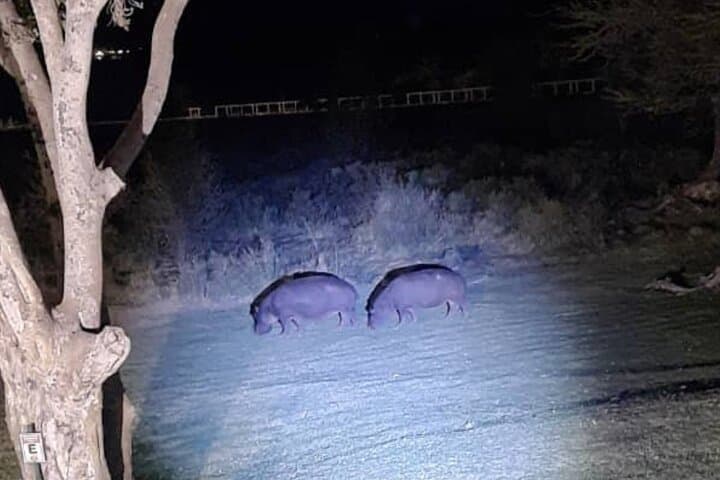 Moonlit Stargazing at Victoria Falls: Guided Night Sky Experience photo 6