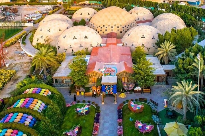 Dubai Butterfly Garden Guided Tour with Optional Transport photo 2