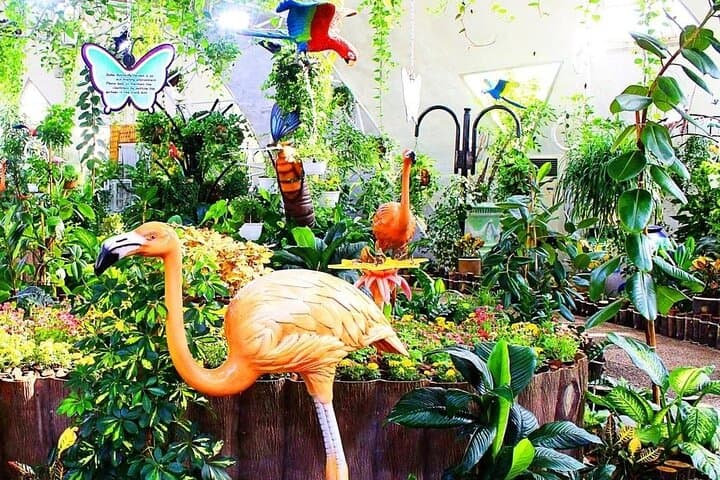 Dubai Butterfly Garden Guided Tour with Optional Transport photo 3