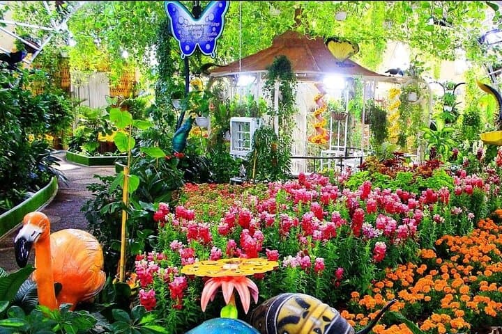 Dubai Butterfly Garden Guided Tour with Optional Transport