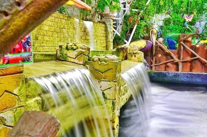 Dubai Butterfly Garden Guided Tour with Optional Transport photo 4