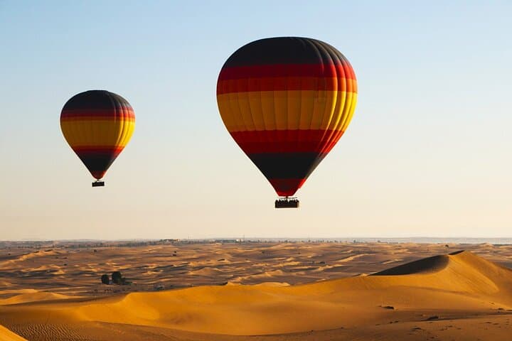 Sunrise Desert Hot Air Balloon in Dubai: Falcon Photo & Camel Ride