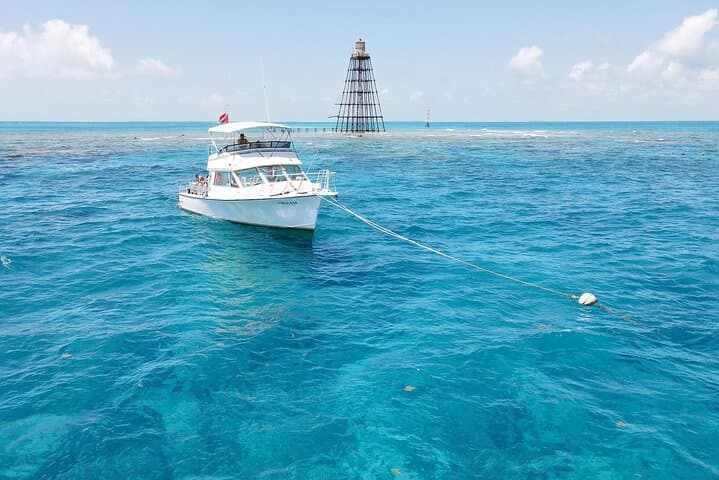 Key West Small-Group Snorkel Adventure: Two Reefs, Warm Water photo 2