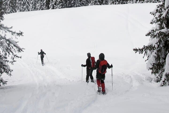 3-Day Snowshoeing Retreat in Sethan Village, Manali