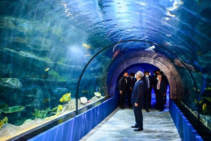 Full-Day North Mauritius Tour: Odysseo Aquarium, Château de Labourdonnais & Lunch photo 1