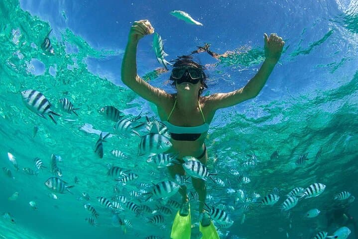 Incredible North Mauritius Tour: Balaclava Marine Park, Cap Malheureux & Port Louis