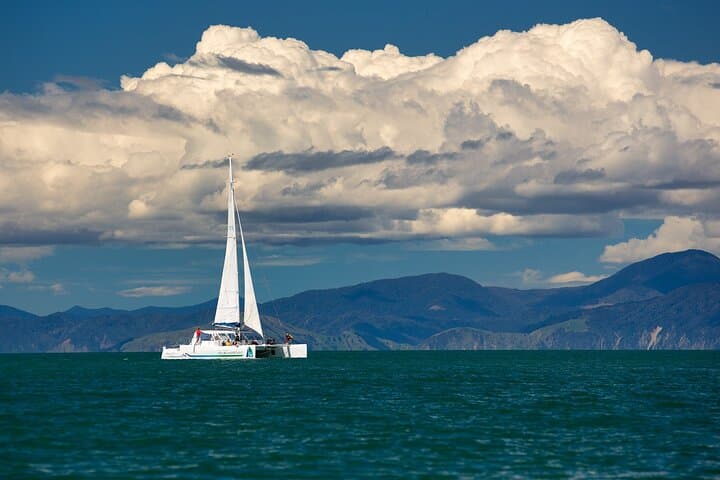 Full-Day Sailing in Abel Tasman National Park: Beaches, Seals & Split Apple Rock photo 6