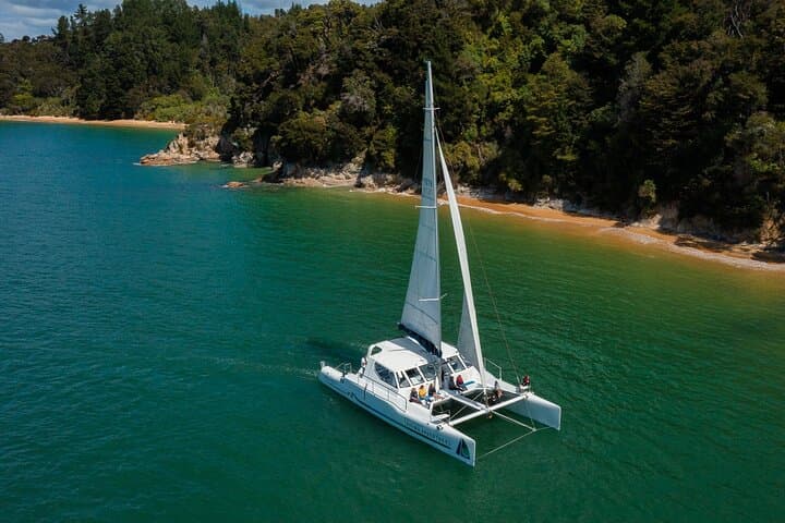 Abel Tasman Day Sail and Coastal Walk from Kaiteriteri — Seals, Split Apple Rock & Anchorage Bay photo 6