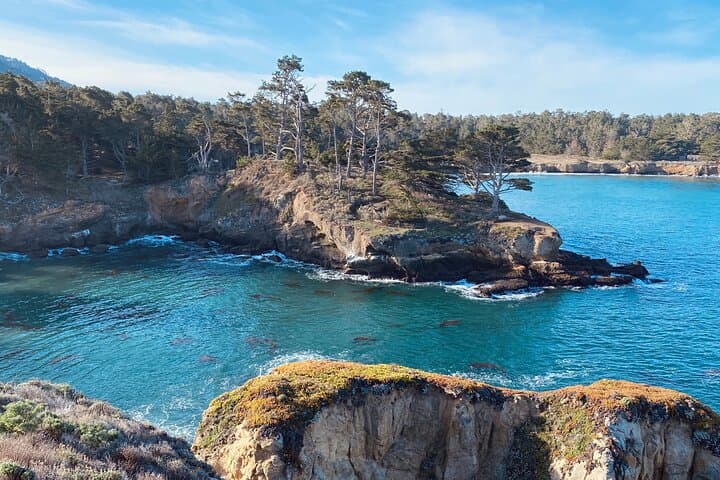 Point Lobos Private Ocean Walk: Coastal Wildlife & Hidden Coves photo 5