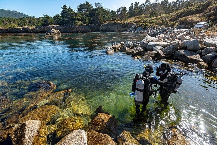 Point Lobos Private Ocean Walk: Coastal Wildlife & Hidden Coves photo 6