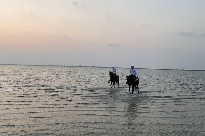 Sunset Horseback Ride on Dahban Beach — Private Red Sea Experience photo 5
