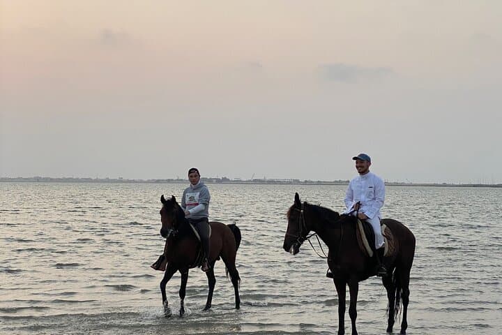 Sunset Horseback Ride on Dahban Beach — Private Red Sea Experience photo 6