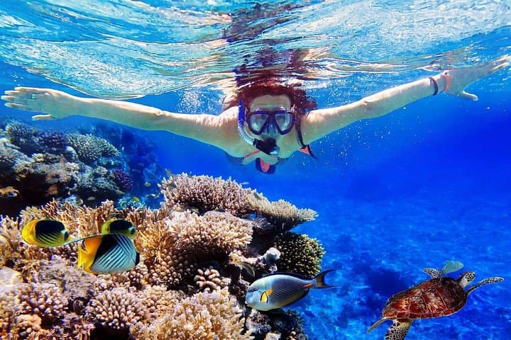 Blue Lagoon & Tanjung Jepun Snorkeling — Padang Bai Private Tour