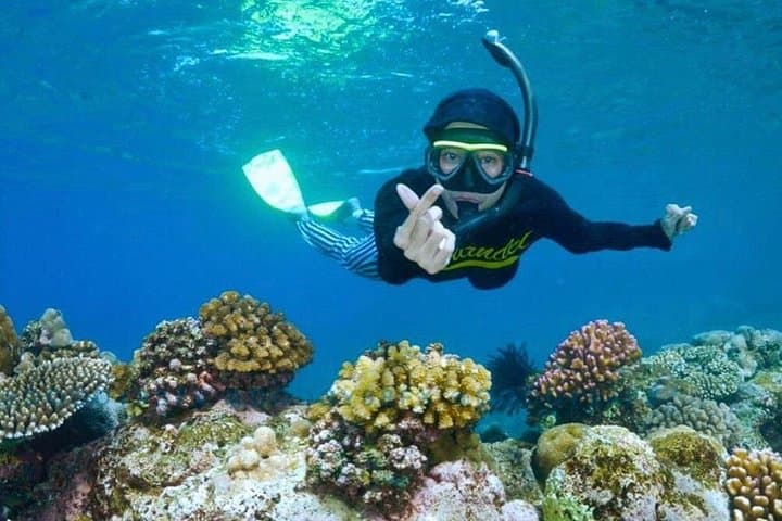Blue Lagoon & Tanjung Jepun Snorkeling — Padang Bai Private Tour photo 2