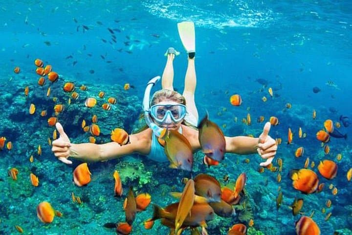 Blue Lagoon & Tanjung Jepun Snorkeling — Padang Bai Private Tour photo 3