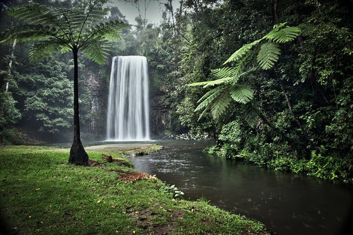 Atherton Tablelands Full-Day Food & Nature Tour from Cairns