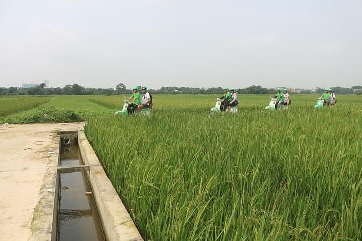 Ninh Binh Vespa, Boat & Mua Cave Day Trip from Hanoi