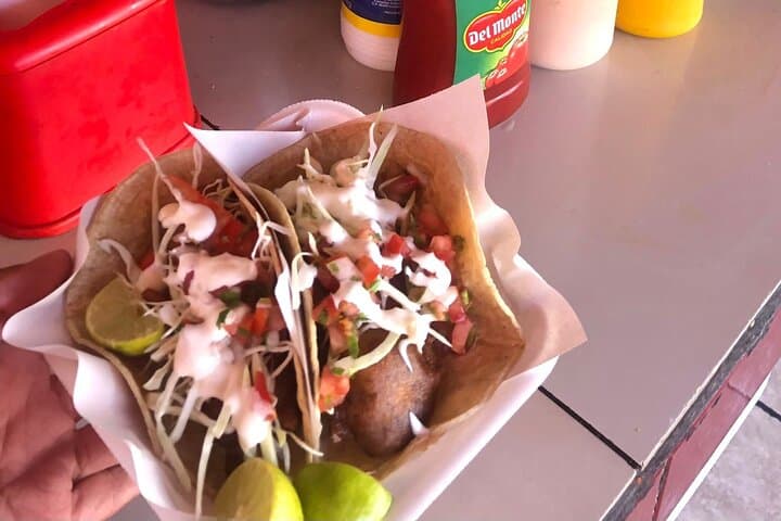 Private Ensenada Tacos and Wine Tour: Fish Tacos, Ceviche & Valle de Guadalupe Wines photo 5